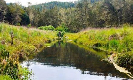 Prohíben la explotación agropecuaria en Parque Nacional Valle Nuevo
