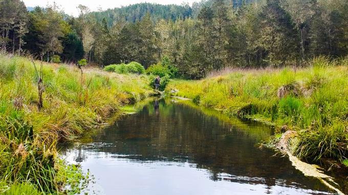 Prohíben la explotación agropecuaria en Parque Nacional Valle Nuevo