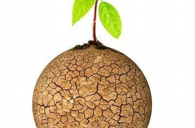 Reflexiones en torno a la lucha contra la desertificación y la sequía
