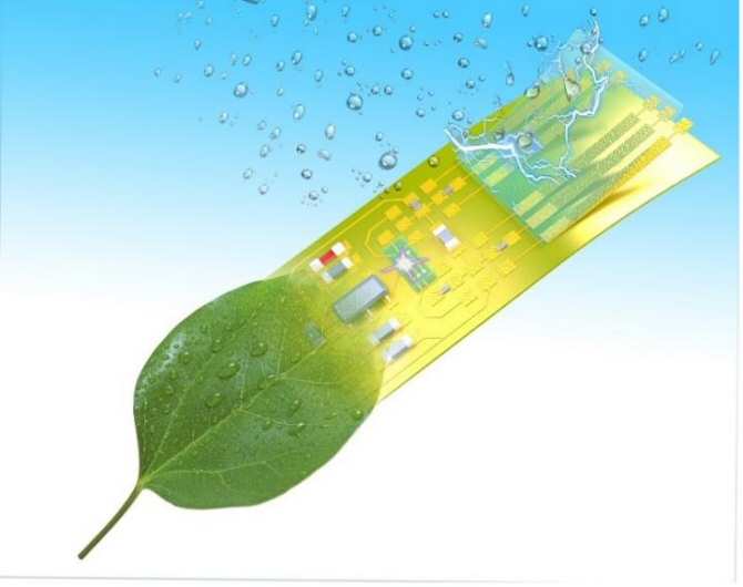 Microsistemas inteligentes hechos de electrónica microbiana