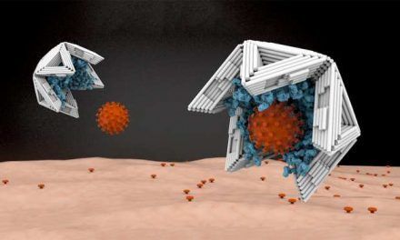 Trampas intracorporales para atrapar virus