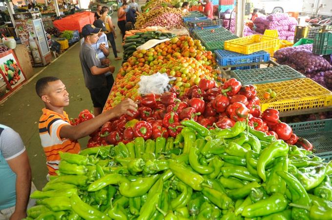 Presentan 196 propuestas para contrarrestar alzas de precios