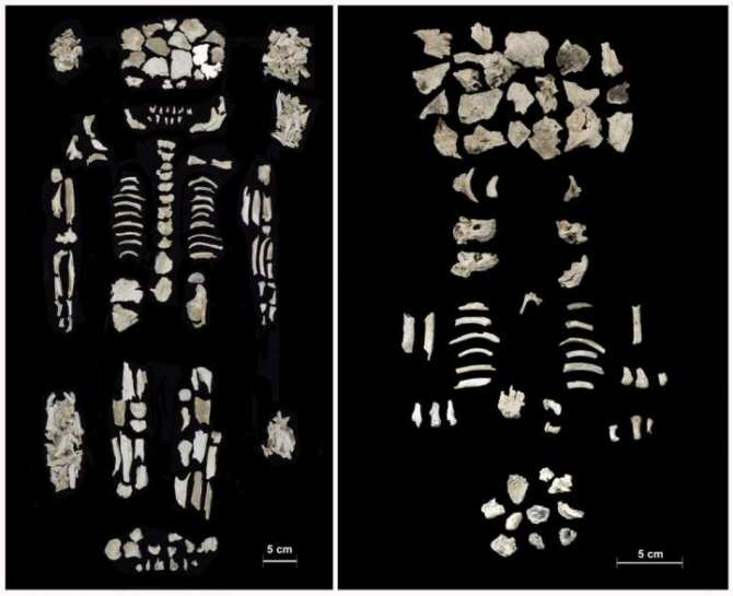 El misterio de una peculiar mujer de la extinta cultura Vatya