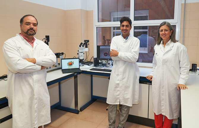 Controlan el movimiento de pequeñas gotas de agua mediante magnetismo