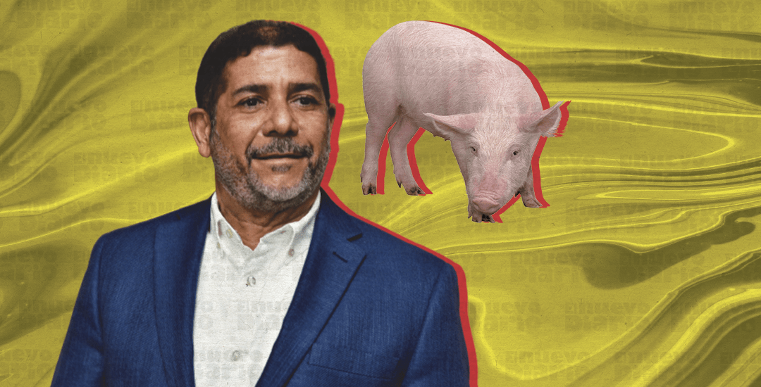 Ahora son 14 las provincias donde hay fiebre porcina, revela Limber Cruz