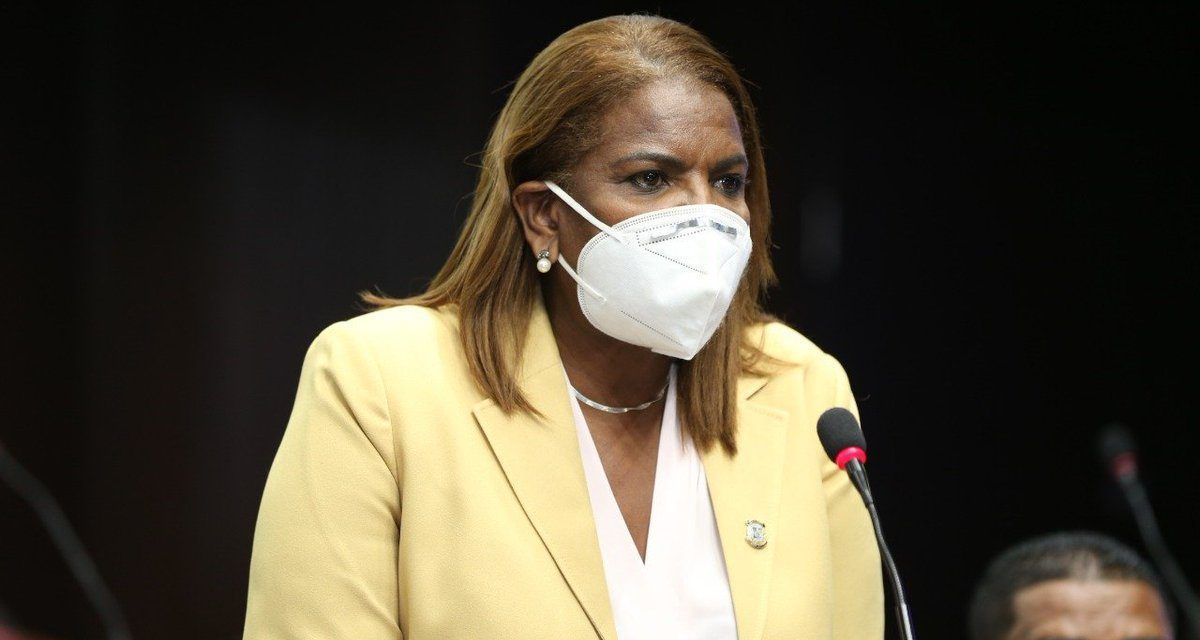 Diputada Margarita Tejeda pide acueducto para Haina y Nigua