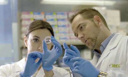 Modelo muscular en 3D para estudiar el envejecimiento y evaluar fármacos y cosméticos