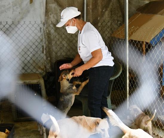 Solicitan ayuda para el refugio de animales de La Victoria