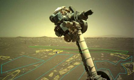 Participación del público para ayudar a adiestrar robots destinados a Marte