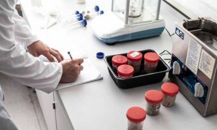 Crean un sucedáneo de carne a base de okara