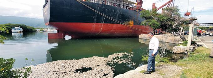 Indagan muerte masiva de peces en Barahona