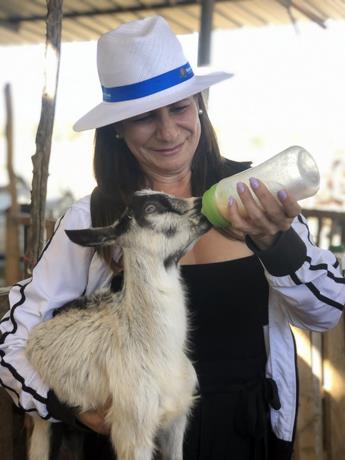 Luisa Feliz incentiva televidentes conozcan la gastronomía dominicana