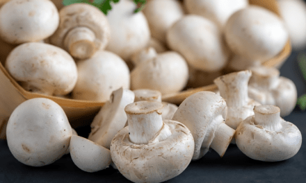Desde las profundidades, los productores de champiñones de París buscan resurgir