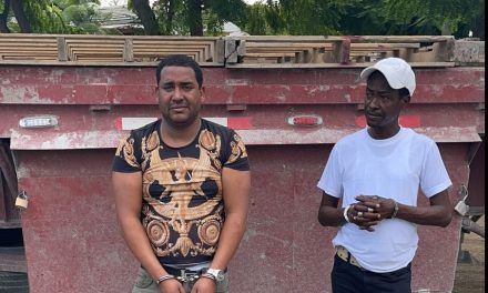 Apresan dos hombres e incautan 243 paquetes presumiblemente marihuana en Azua