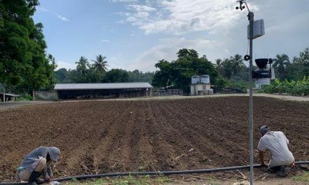 Finca del instituto Loyola forma a nuevos técnicos