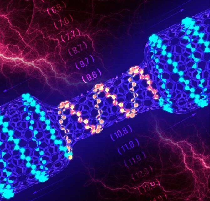 Transistor 25.000 veces más pequeño que el grosor de un pelo humano