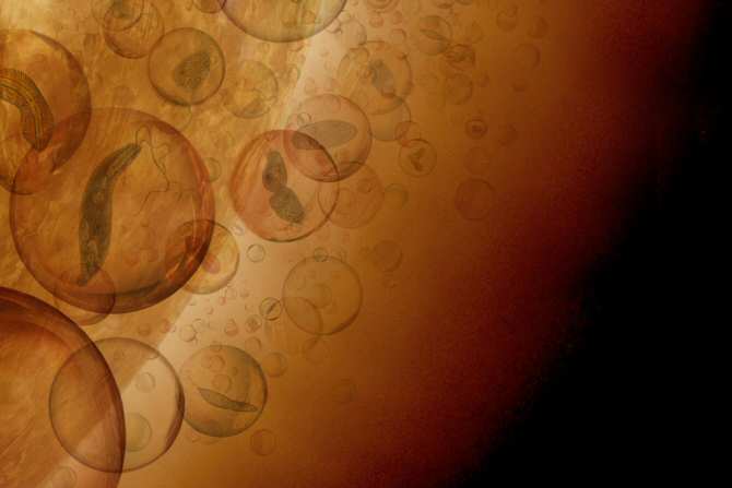 ¿Existencia de formas de vida en las nubes de Venus?