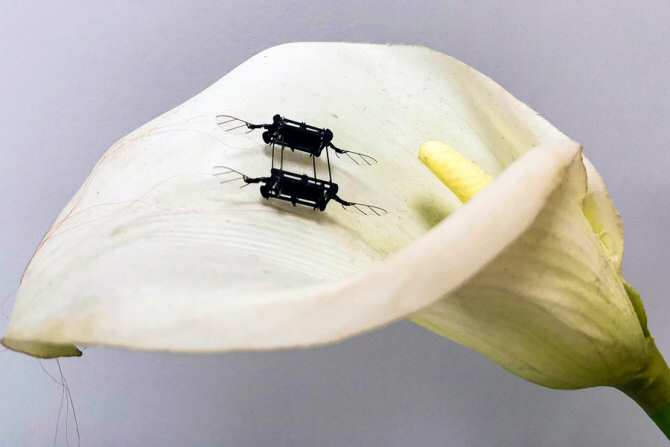Drones insectoides para operaciones de rescate