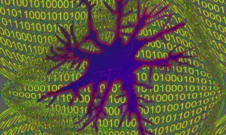 Red de neuronas artificiales para estudiar el autismo