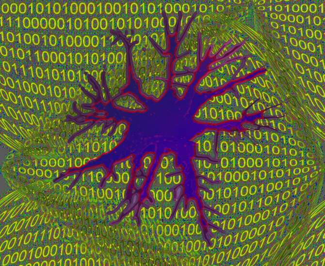 Red de neuronas artificiales para estudiar el autismo