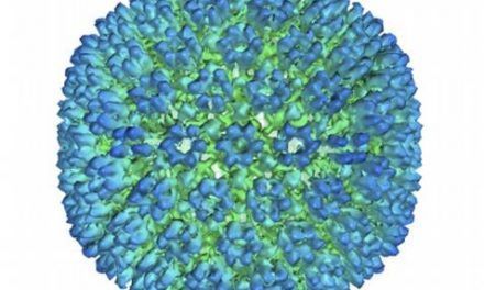 Nexo entre virus Epstein-Barr y esclerosis múltiple