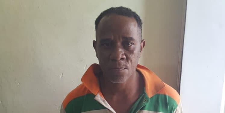 Apresan hombre al ser sorprendido robando cacao en finca de Monte Plata