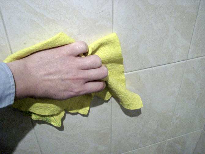 Esponjas y trapos, ¿aliados en la cocina o reservorios de bacterias?