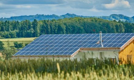 ¿Cuánto duran los paneles solares?