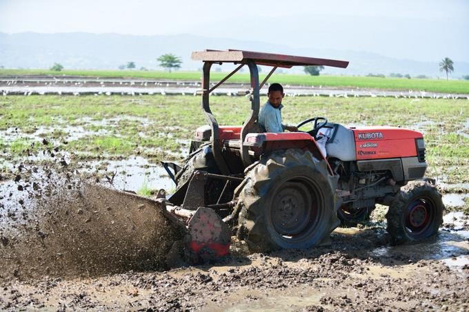 Llaman la atención sobre alza del costo para producir arroz