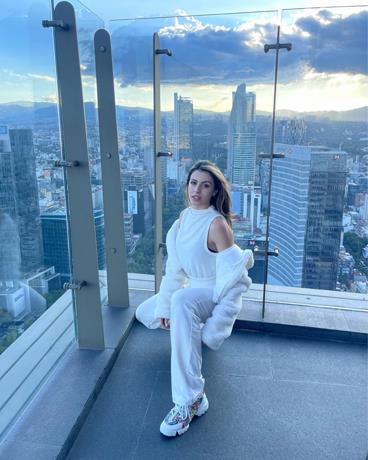Presencia dominicana va en aumento en series de TV y telenovelas de México y EE.UU.