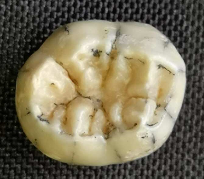 Lo lejos que llegaron los misteriosos denisovanos