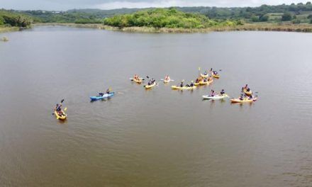 Laguna Don Gregorio: Un oasis a las puertas del sur