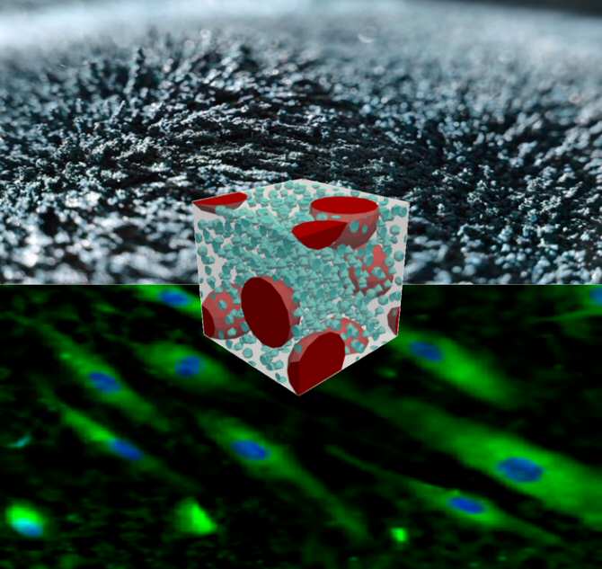 Materiales inteligentes para experimentar con células