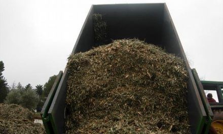 Desarrollan plástico degradable hecho de partes no comestibles de plantas