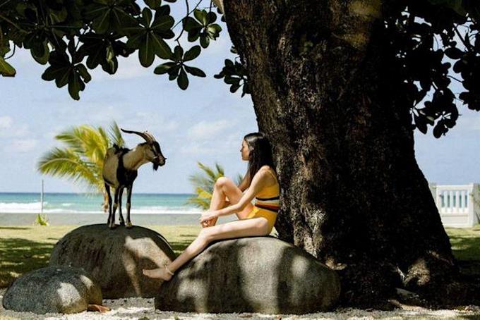 The Colony y Carajita debutan hoy en los cines quisqueyanos