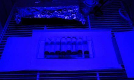 Luz azul y longevidad