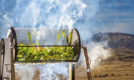 Luz solar concentrada para asar comida