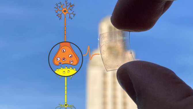 Sinapsis de grafeno para ordenadores diseñados como un cerebro humano