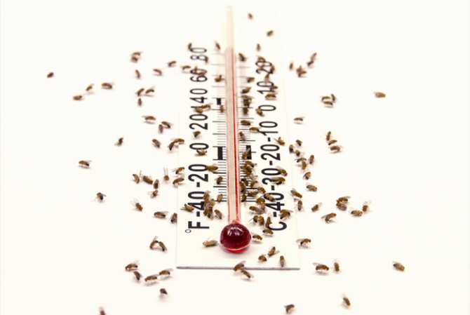 ¿Por qué el calor nos da somnolencia?