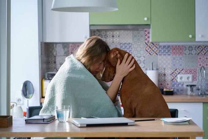Las mascotas y su rol en la recuperación del paciente bipolar