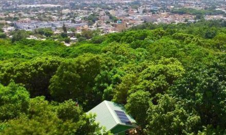 Abinader ya sabe de la apropiación Parque Las Caobas; Salazar le informó