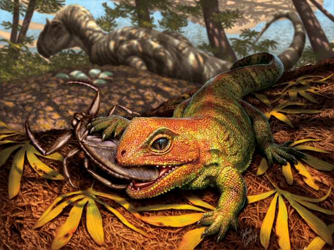 Vínculo entre un raro reptil actual y una especie extinta hasta ahora desconocida
