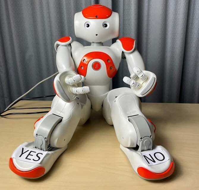 Los robots de compañía pueden servir para evaluar el bienestar mental infantil