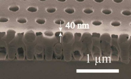 Nanoestructuras con anelasticidad capaces de disipar energía