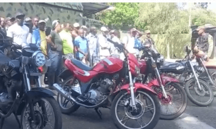 Ejército detiene a 39 haitianos durante operativos en Valverde