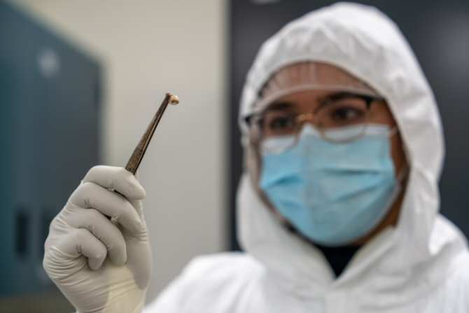 La influencia de la Muerte Negra en la genética humana actual