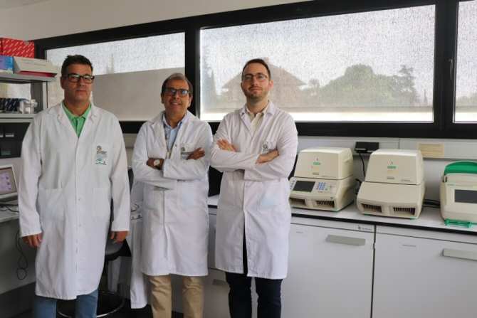 Identifican un nuevo mecanismo que interviene en la función reproductiva