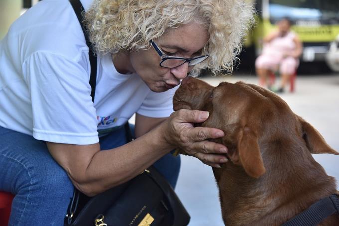 “He dejado de darme los tratamientos del cáncer para alimentar a los animales”