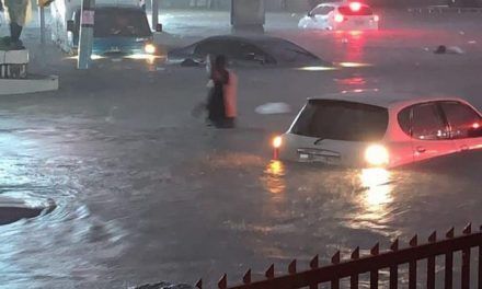 COE reportó que lluvias afectaron 855 vehículos