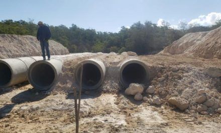 Defensa afirma “se han tocado” cerca seis mil metros cuadrados de mangles en construcción del muro